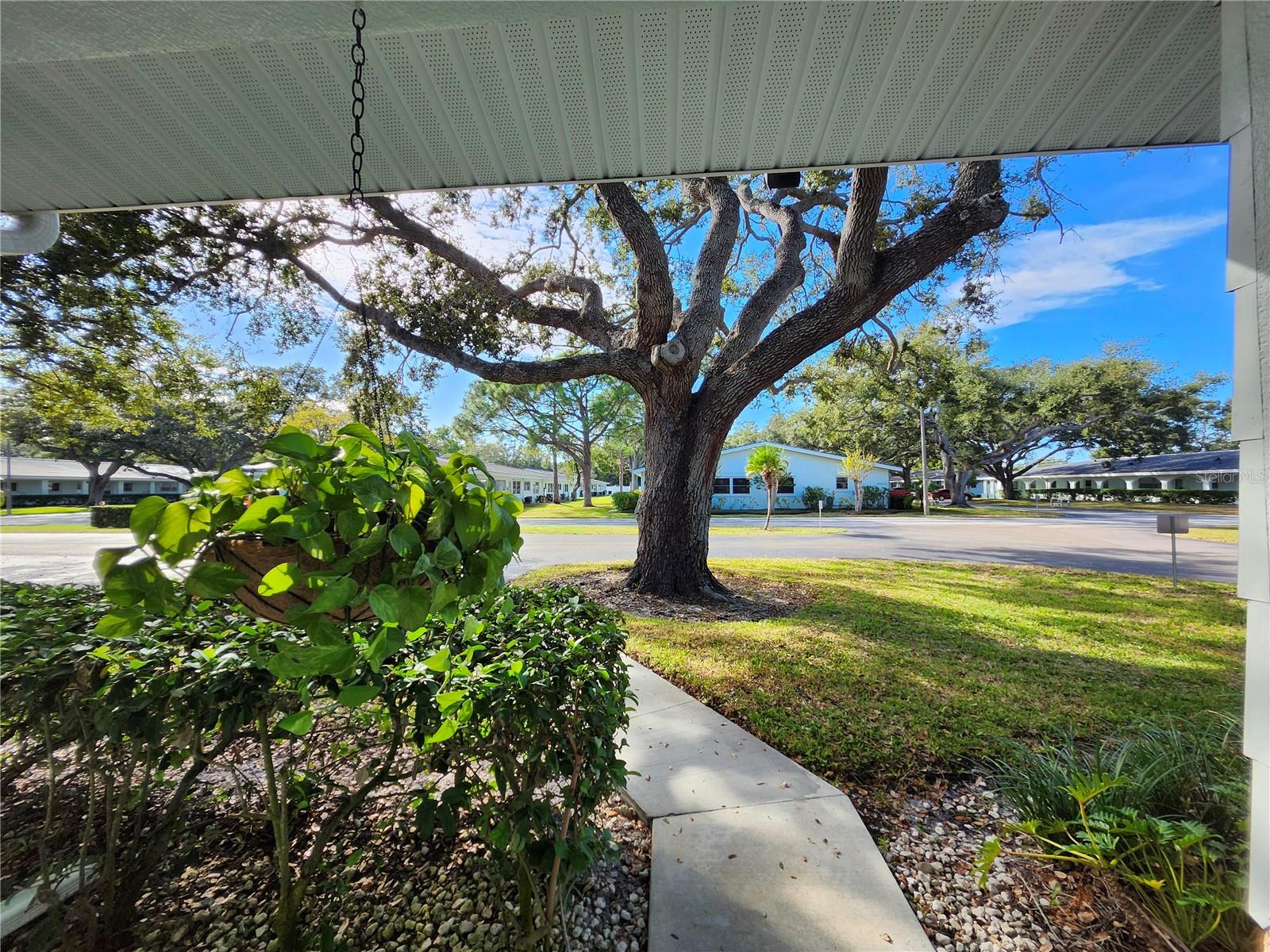 TWIN OAKS APTS - Residential