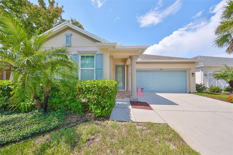 A home in APOLLO BEACH