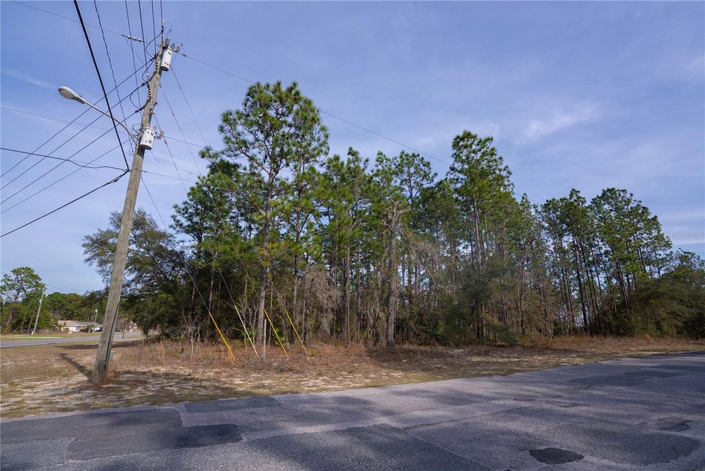 Photo of 7391 N Cricket Drive, Citrus Springs, FL 34434 (MLS # OM719364)