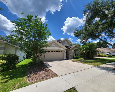 Single Family Residence in TAMPA FL 10127 HEATHER SOUND DRIVE.jpg