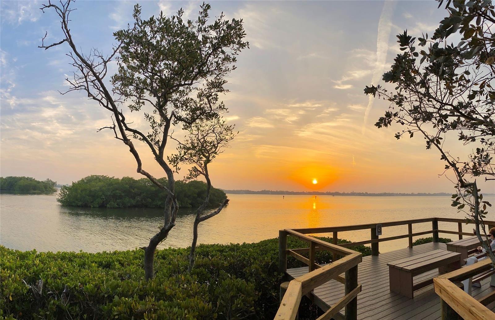 PELICAN COVE VII - Residential