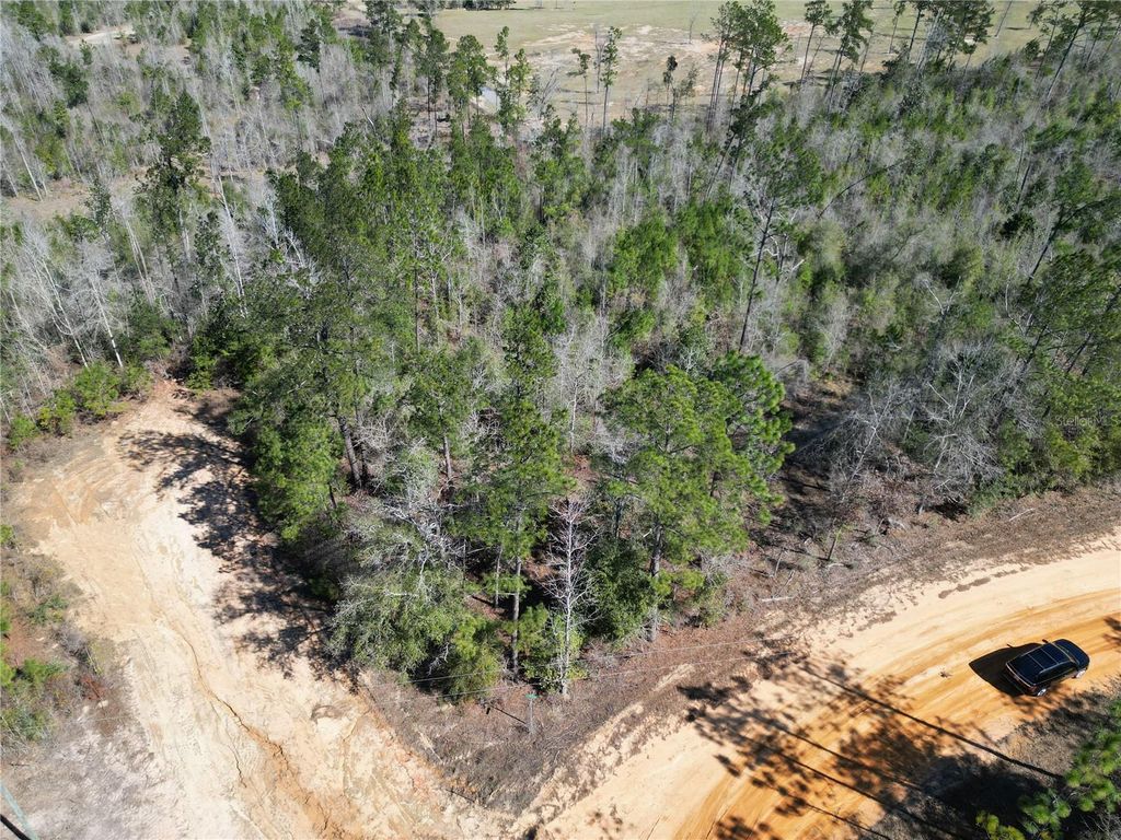 Photo of Clinton Court, Alford, FL 32420 (MLS # GC537783)