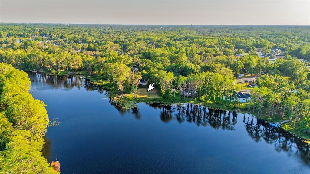 Photo of 16213 Dew Drop Lane, Tampa, FL 33625 (MLS # TB8374106)