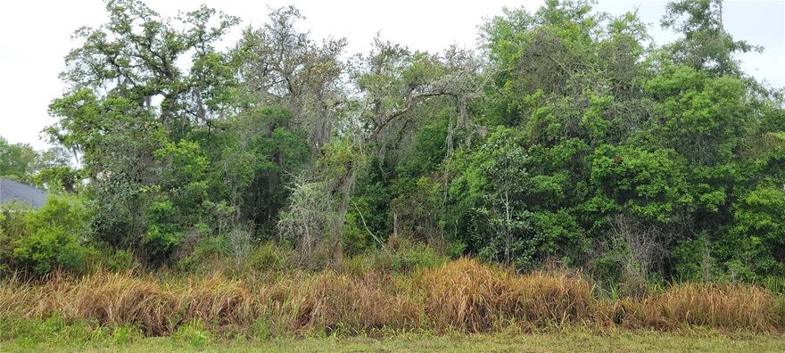 Build your dream home or invest in the growing community of Silver Springs Shores in Ocala, Florida! This lot features paved road access with nearby power available, helping make the building process smooth and convenient. The property also comes with a clear inspection and no environmental issues, saving you time and additional development costs. Surrounded by established homes and new construction, this is a fantastic opportunity to secure land in one of Ocala’s most active and expanding residential communities. This desirable homesite is conveniently located near shopping, dining, schools, medical facilities, parks, and everyday essentials while still offering the peaceful charm of Central Florida living. Situated just minutes from downtown Ocala, Silver Springs State Park, Santos Trailhead, and major roadways, this property provides easy access to outdoor recreation, entertainment, and nearby cities throughout Central Florida.