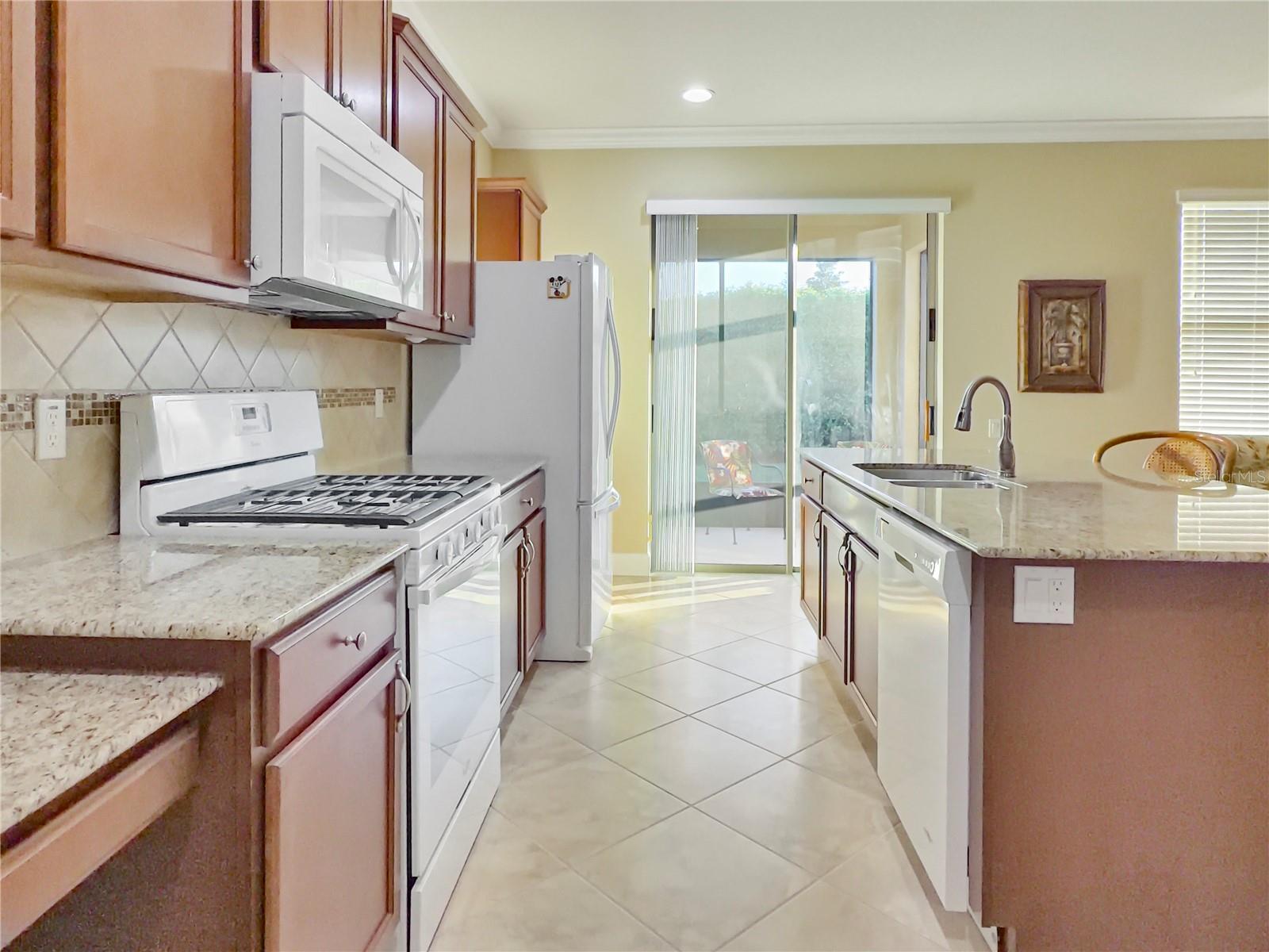 521 VISTA SOL DRIVE