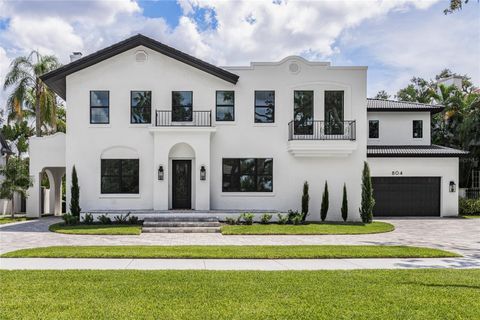 804 IDLEWOOD DRIVE TAMPA FL 33609