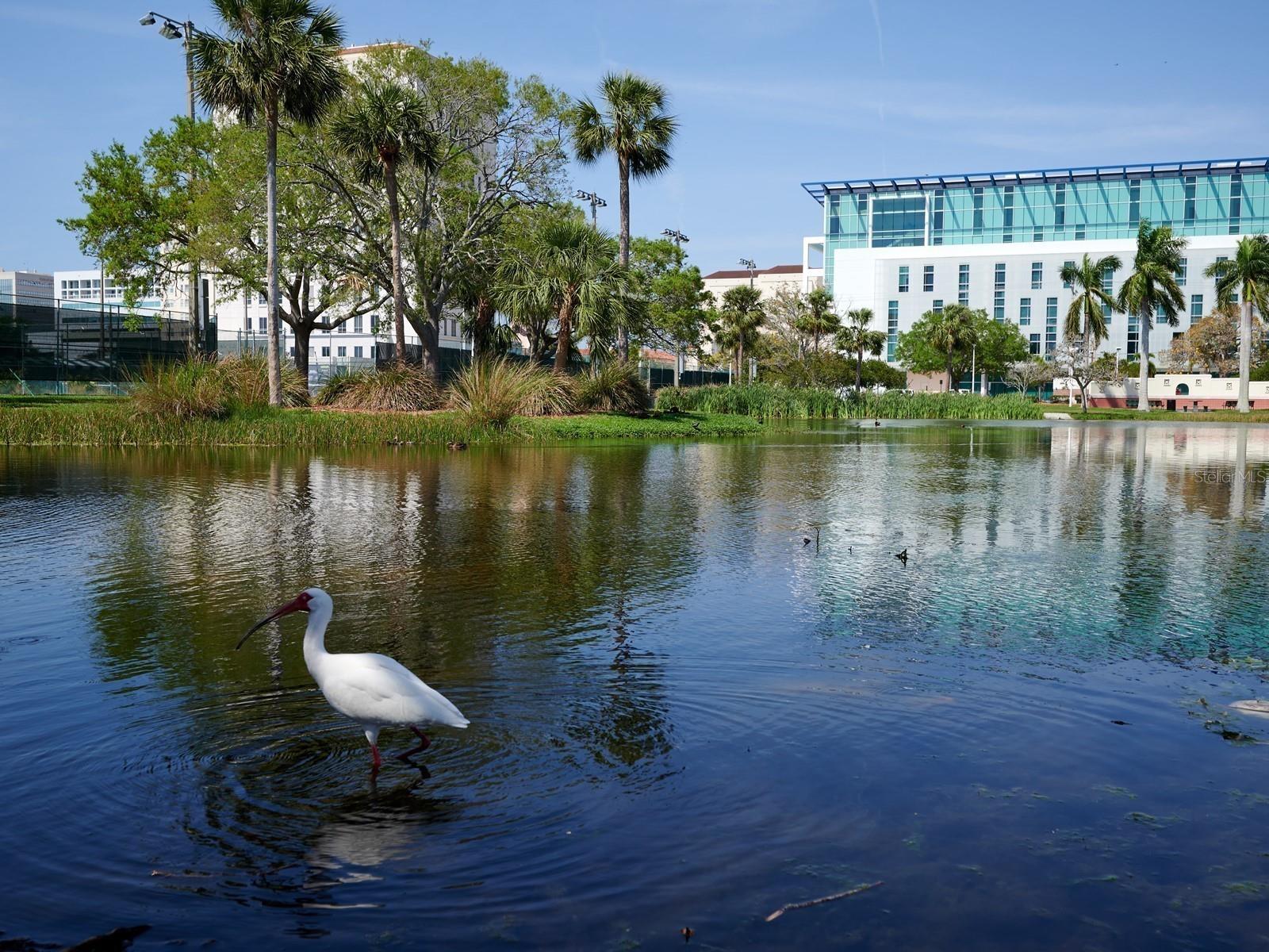 ENCLAVE/LAUREL PARK REP - Residential