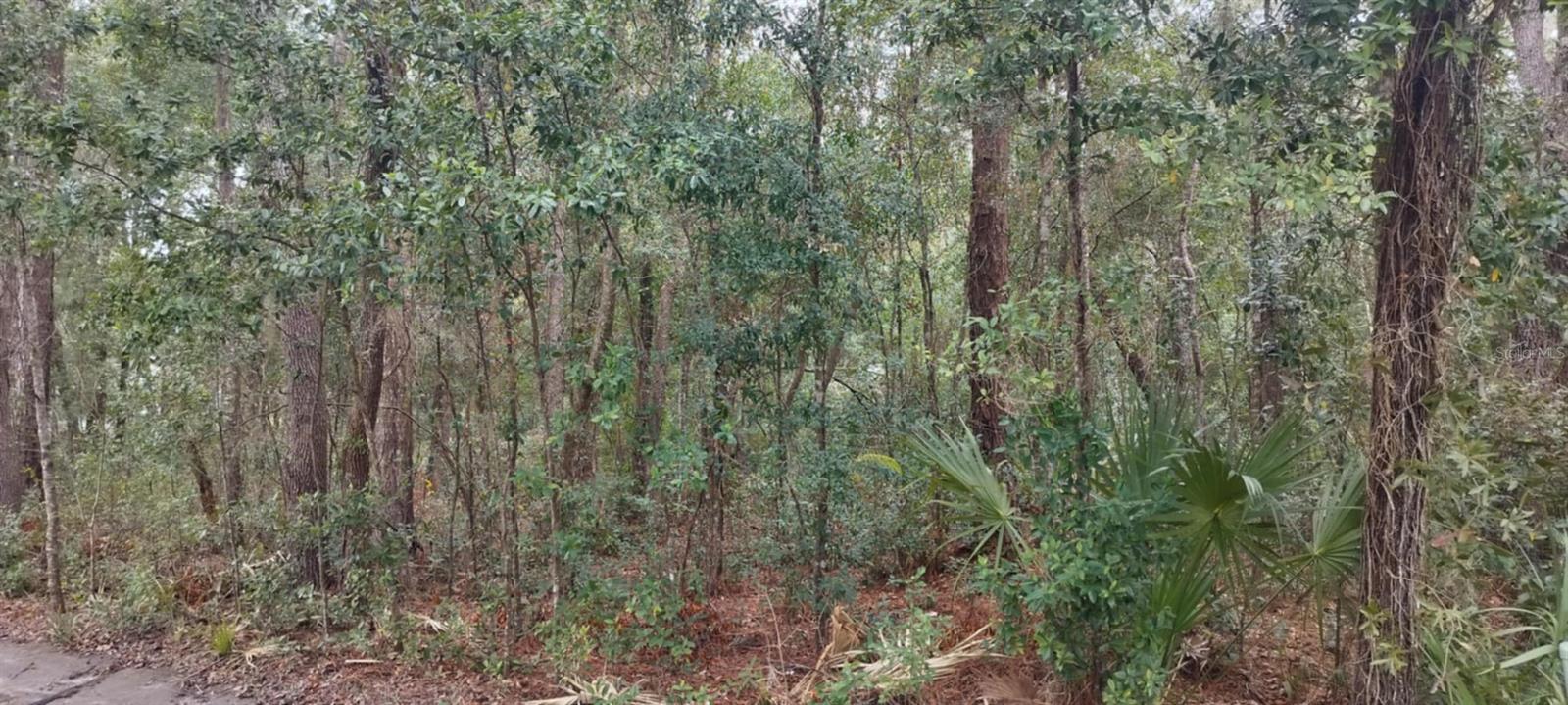 HERCALA ACRES UNIT 02 - Land