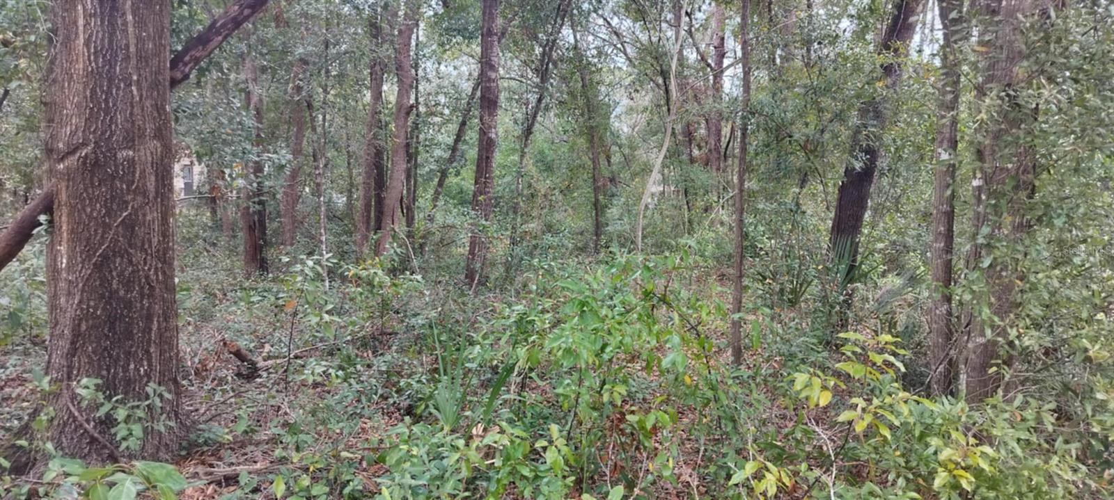 HERCALA ACRES UNIT 02 - Land