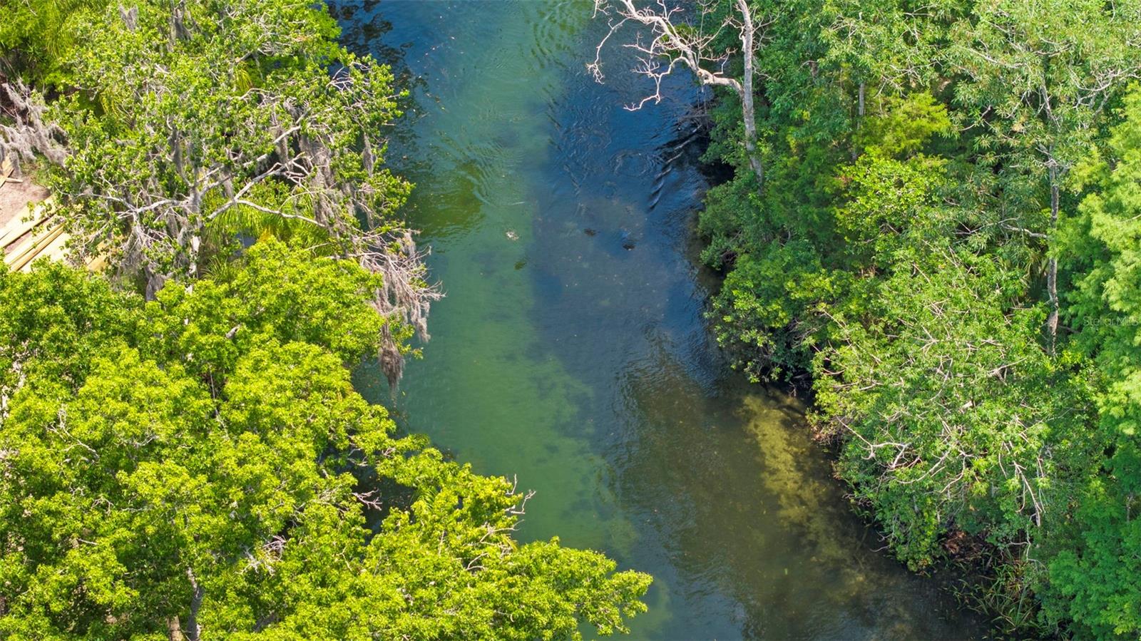 WEEKI WACHEE GARDENS - Residential