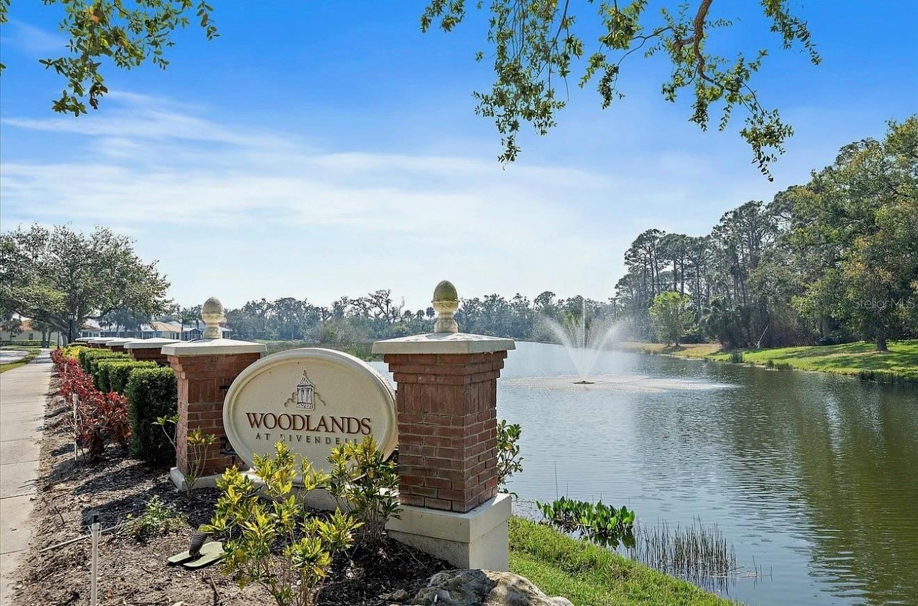 RIVENDELL THE WOODLANDS - Residential