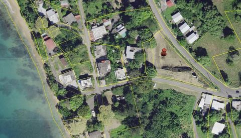 CARR 429 RINCON  00677