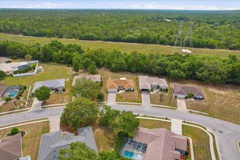 Tiny photo for 1322 S Brookfield Drive, Lecanto, FL 34461 (MLS # TB8507927)