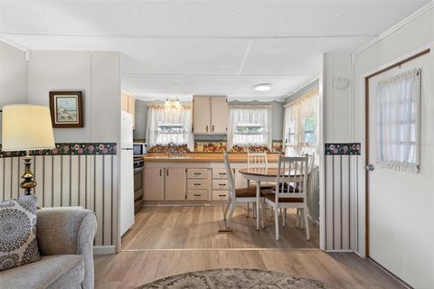 Tiny photo for 684 Cindi Avenue, Leesburg, FL 34788 (MLS # V4946373)