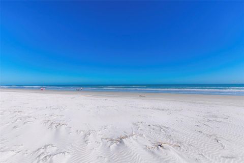 A home in PONCE INLET