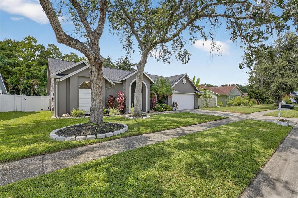 Photo of 15026 Rocky Ledge Drive, Tampa, FL 33625 (MLS # TB8435181)