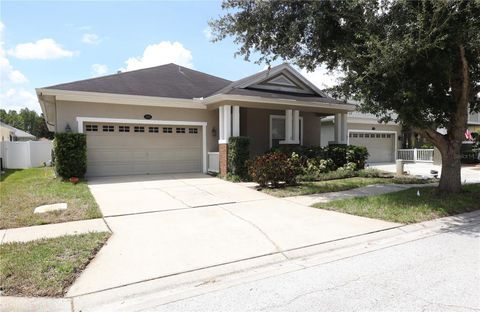 Photo of 18112 Fall Creek Drive, Lutz, FL 33558 (MLS # TB8423590)