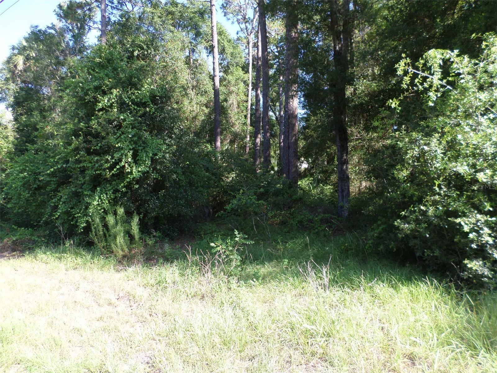COMMERCIAL LAND LOCATED ON DUNNELLON'S WEST SIDE. THIS PRIME SPOT IS IDEAL FOR VARIOUS B-3 ZONED ACTIVITIES, INCLUDING: WAREHOUSING, AGRICULTURAL EQUIPMENT AND UTILIZATION, ASSEMBLY AND MANUFACTURING OF PRODUCTS, AUTOMOBILE SALES, CONVENIENCE STORES, SALES AND REPAIR OF FARM EQUIPMENT, FIREARM RETAIL, MOTORCYCLE SALES AND SERVICE, SALES OF RECREATIONAL VEHICLES, AND MINI STORAGE FACILITIES.