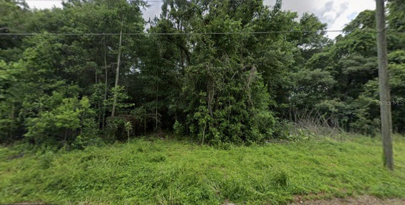 OCALA RDG UN 04 - Land