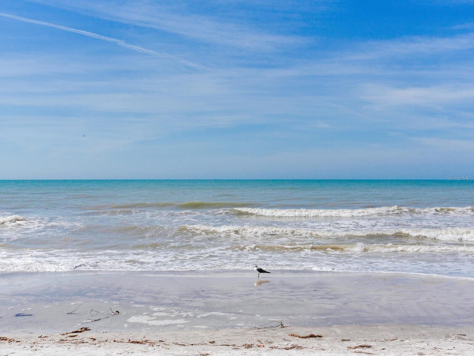 TAHITIAN TOWERS CONDO - Residential