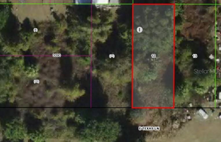 Photo of 4279 E Texas Lane, Hernando, FL 34442 (MLS # OM733775)