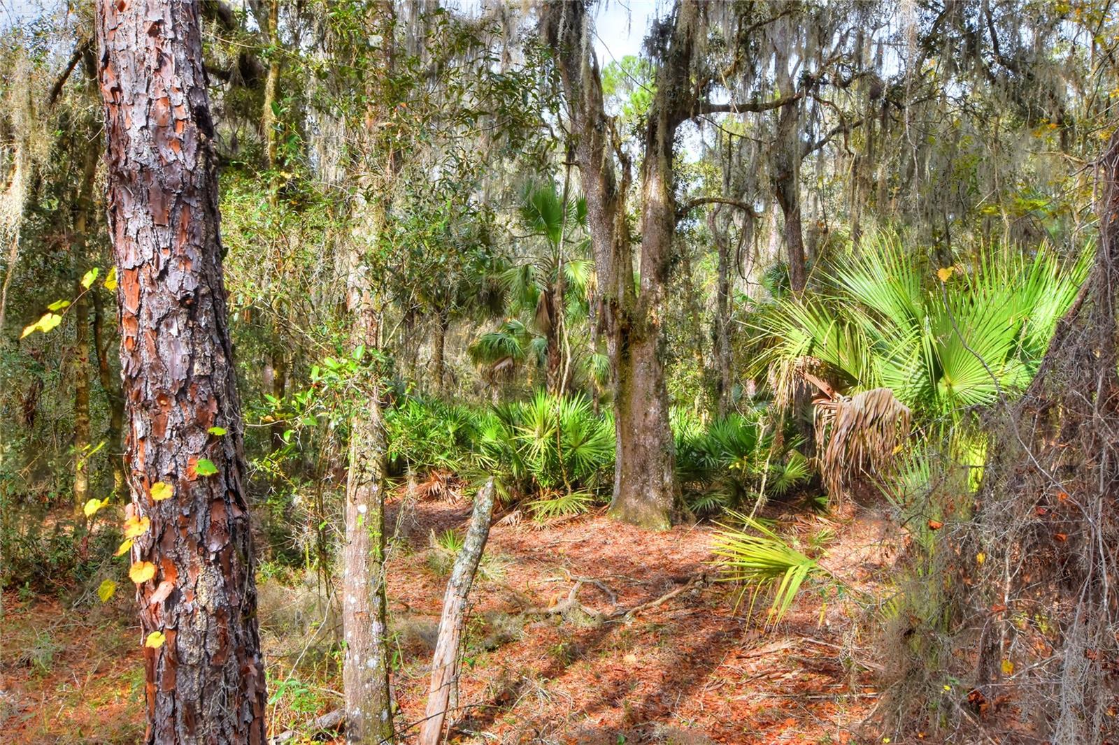 0 KEYSVILLE ROAD