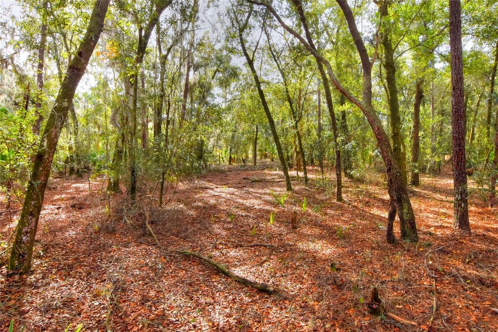 Photo of 0 Keysville Road, Lithia, FL 33547 (MLS # TB8405521)