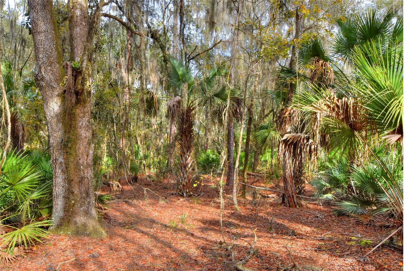 0 KEYSVILLE ROAD