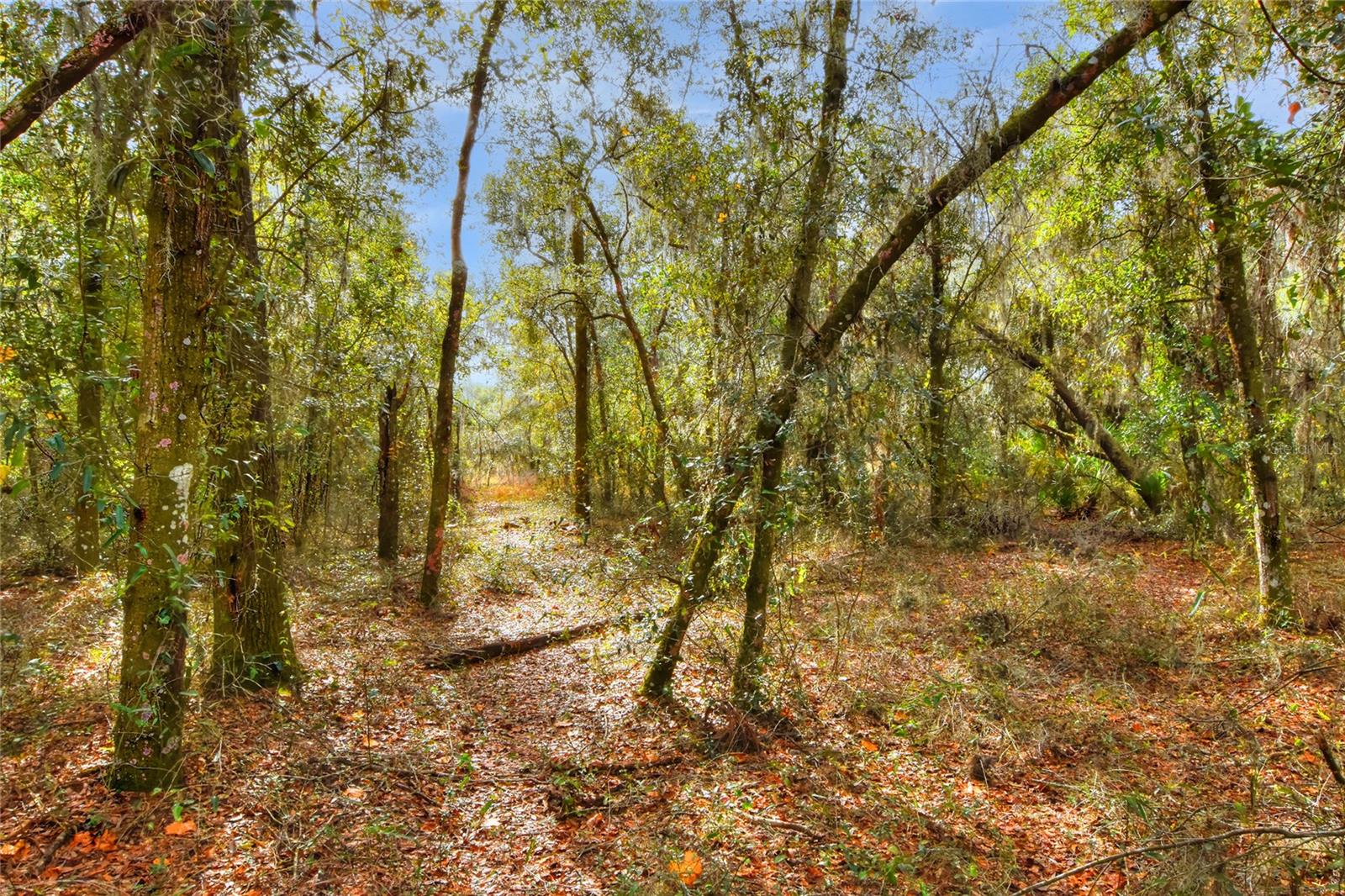 0 KEYSVILLE ROAD
