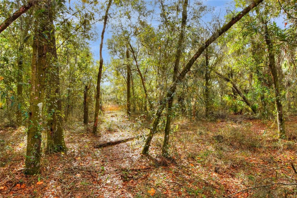 Photo of 0 Keysville Road, Lithia, FL 33547 (MLS # TB8405521)