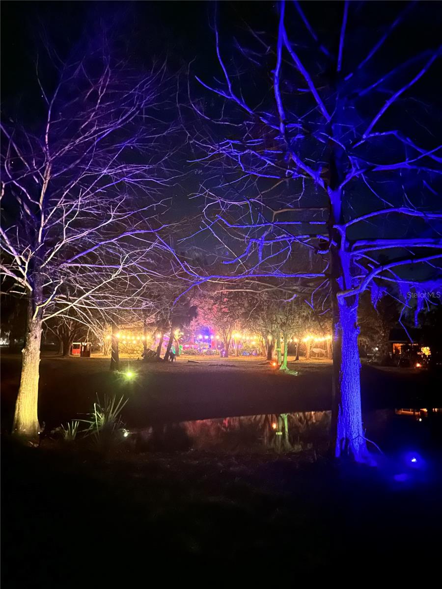 MYAKKA VALLEY RANCHES - Residential