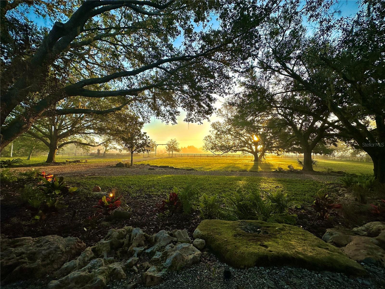 MYAKKA VALLEY RANCHES - Residential