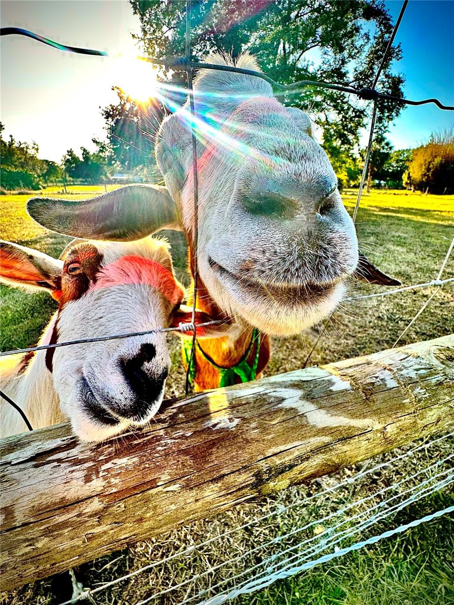 MYAKKA VALLEY RANCHES - Residential