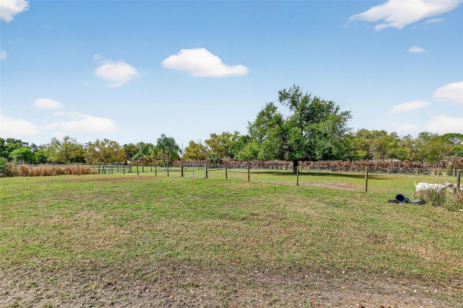 MYAKKA VALLEY RANCHES - Residential
