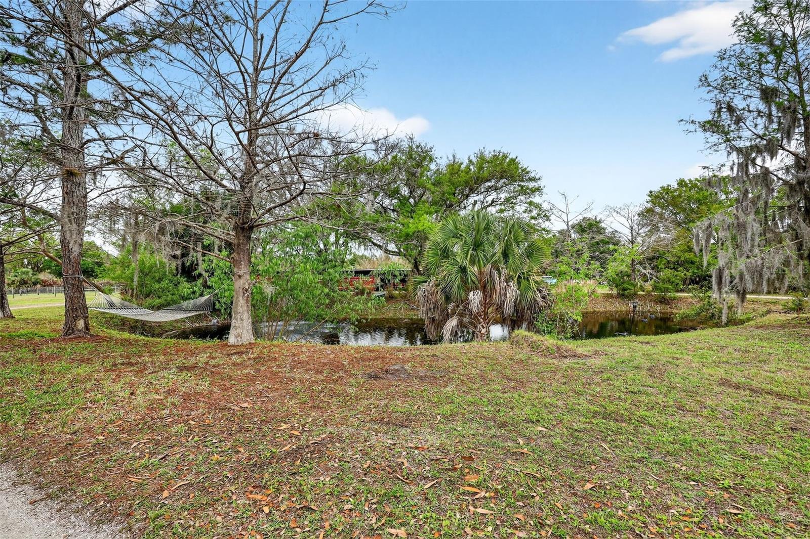 MYAKKA VALLEY RANCHES - Residential