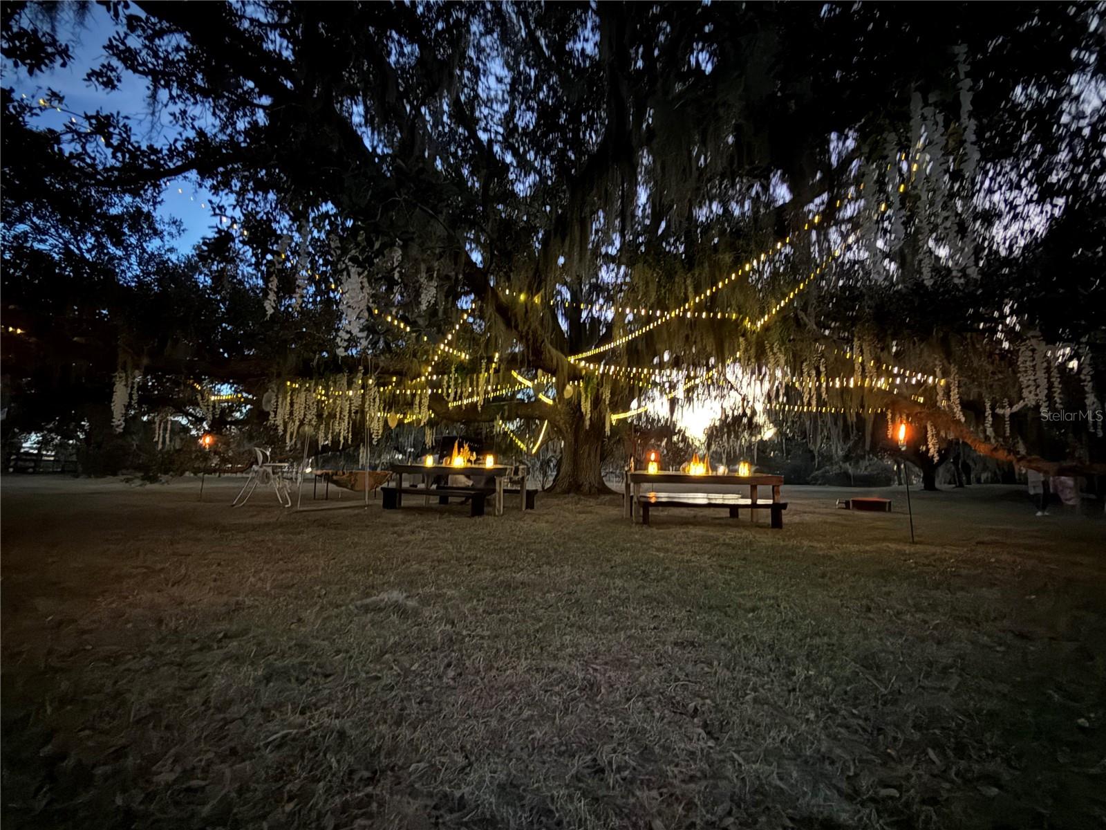 MYAKKA VALLEY RANCHES - Residential