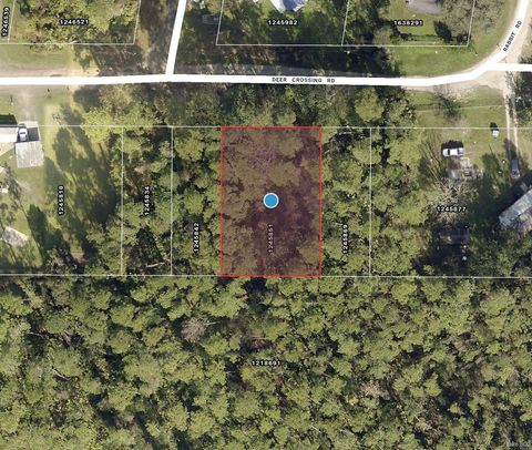 Tiny photo for Tbd Deer Crossing Road, Altoona, FL 32702 (MLS # TB8470590)