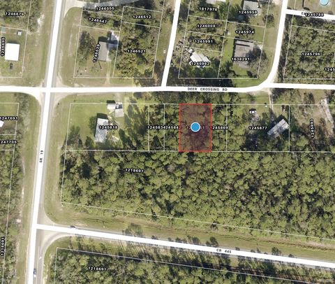 Tiny photo for Tbd Deer Crossing Road, Altoona, FL 32702 (MLS # TB8470590)