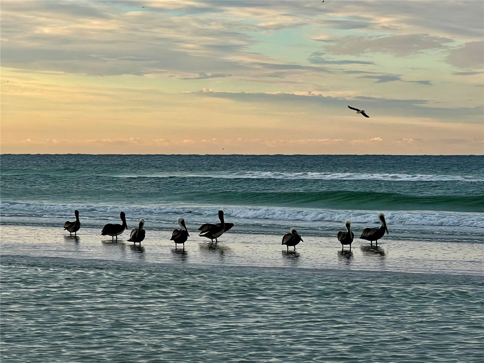 MIDNIGHT HARBOR SUB - Residential