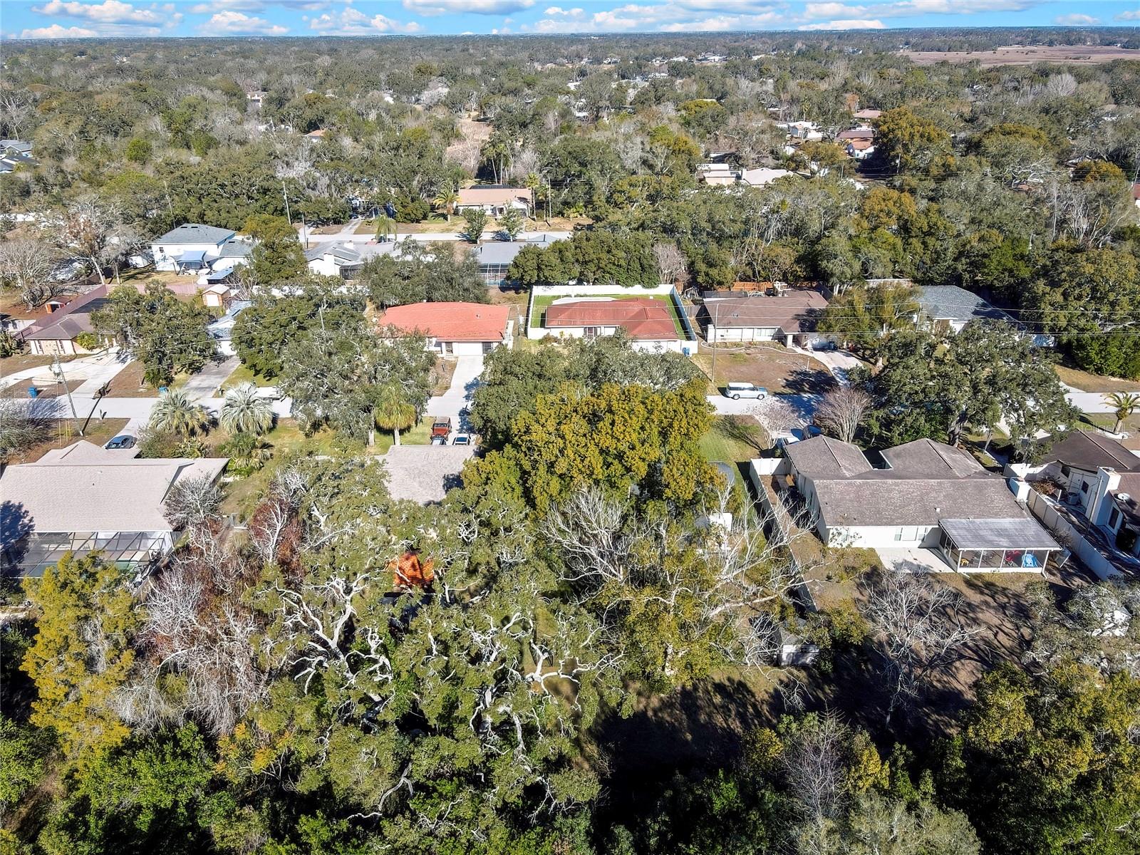 SPRING HILL - Residential