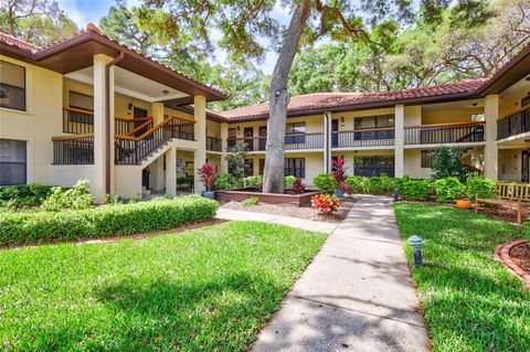 A home in CLEARWATER