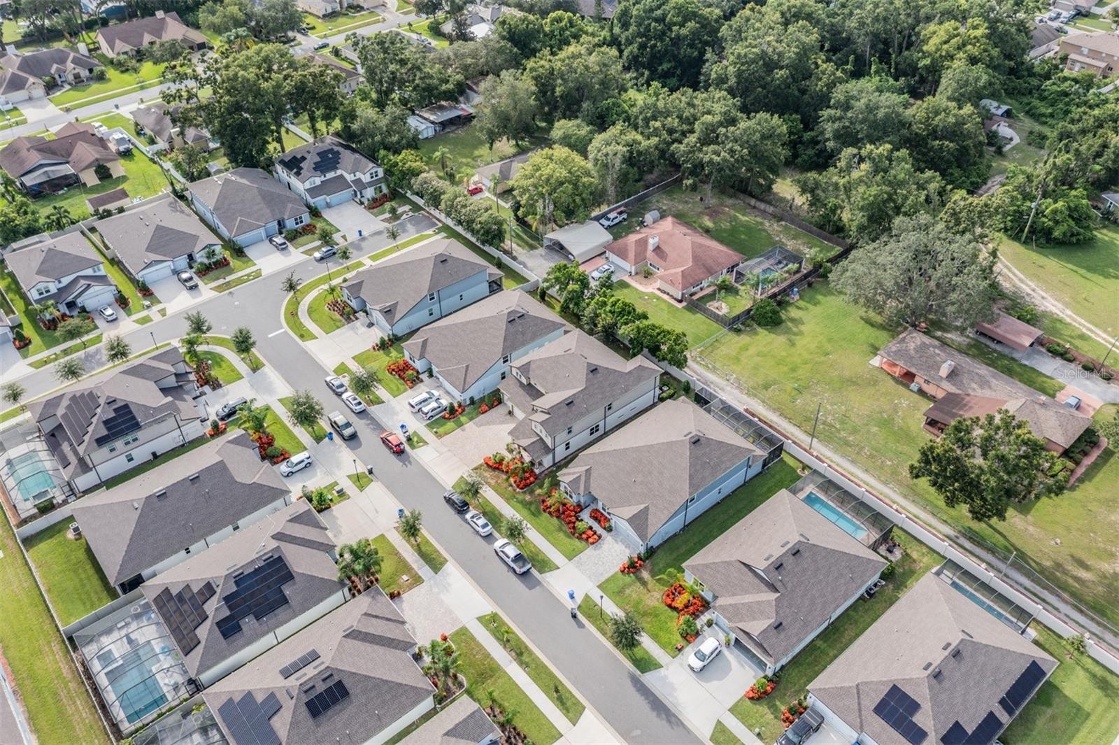 BUCKHORN FOREST - Residential
