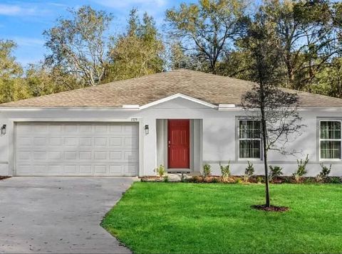 Photo of 1018 N Sonia Avenue, Inverness, FL 34453 (MLS # O6368394)