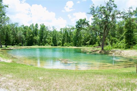 A home in LIVE OAK