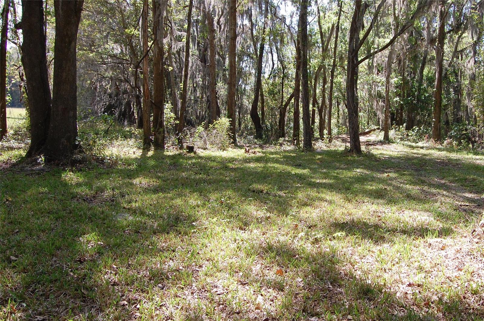 ROLLING HILLS - Residential