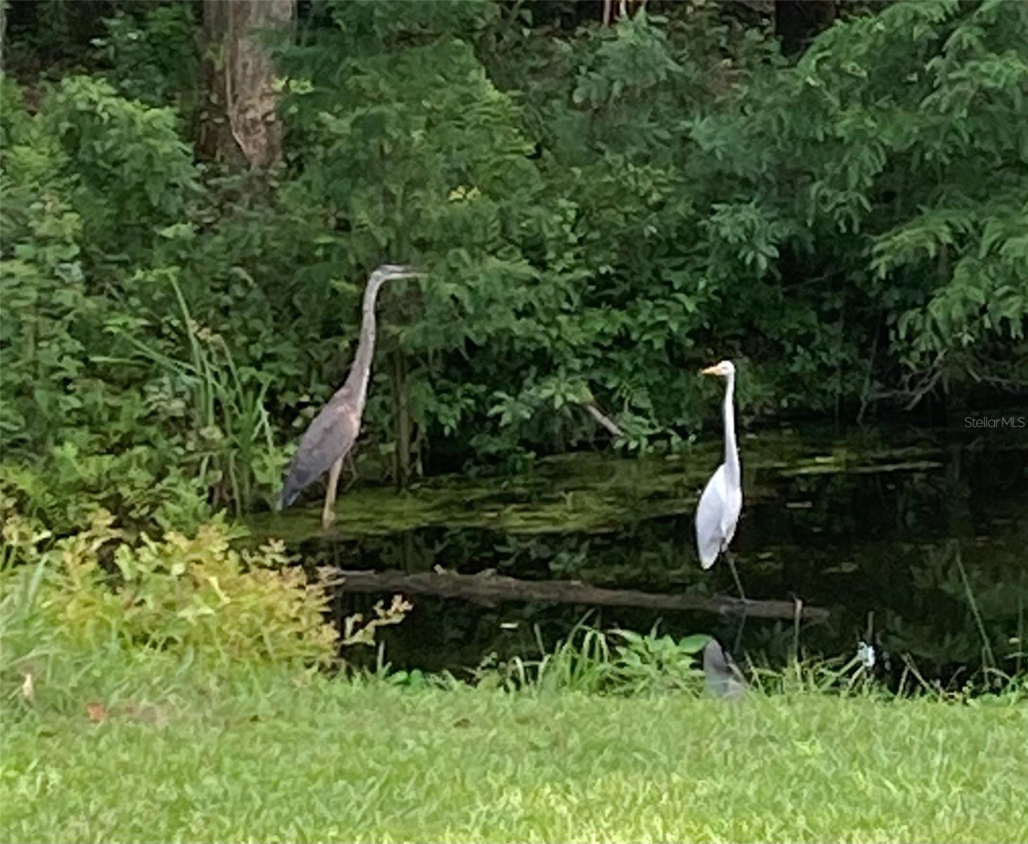 ROLLING HILLS - Residential