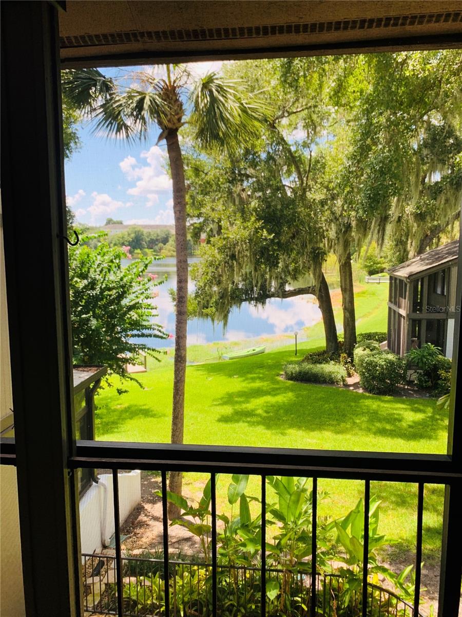 View ALTAMONTE SPRINGS, FL 32701 condo