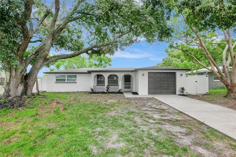 Photo of 6234 Maplewood Drive, New Port Richey, FL 34653 (MLS # TB8415346)