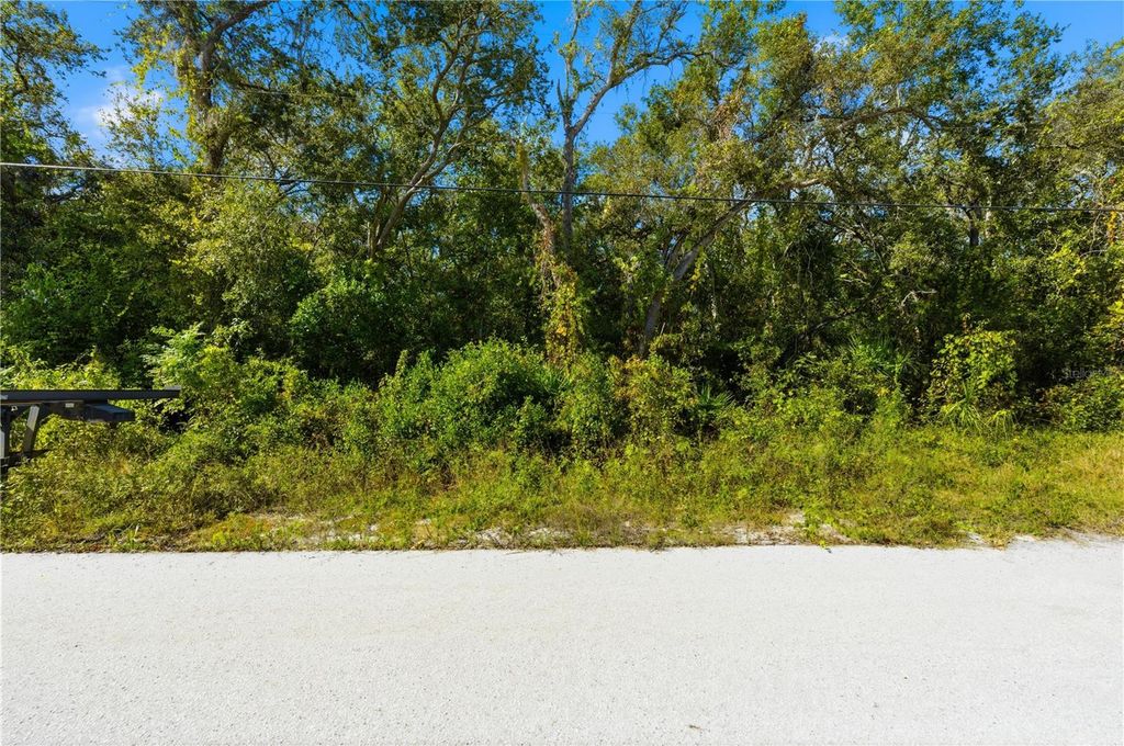 Photo of 000 Shalimar Street, New Port Richey, FL 34654 (MLS # W7880544)