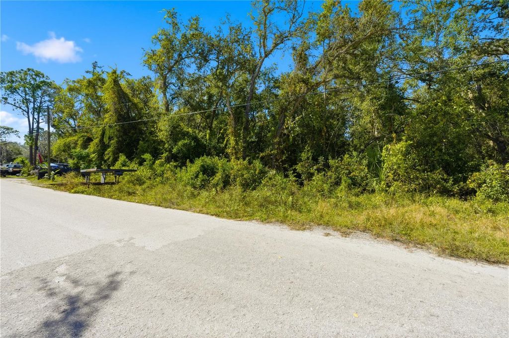 Photo of 000 Shalimar Street, New Port Richey, FL 34654 (MLS # W7880544)